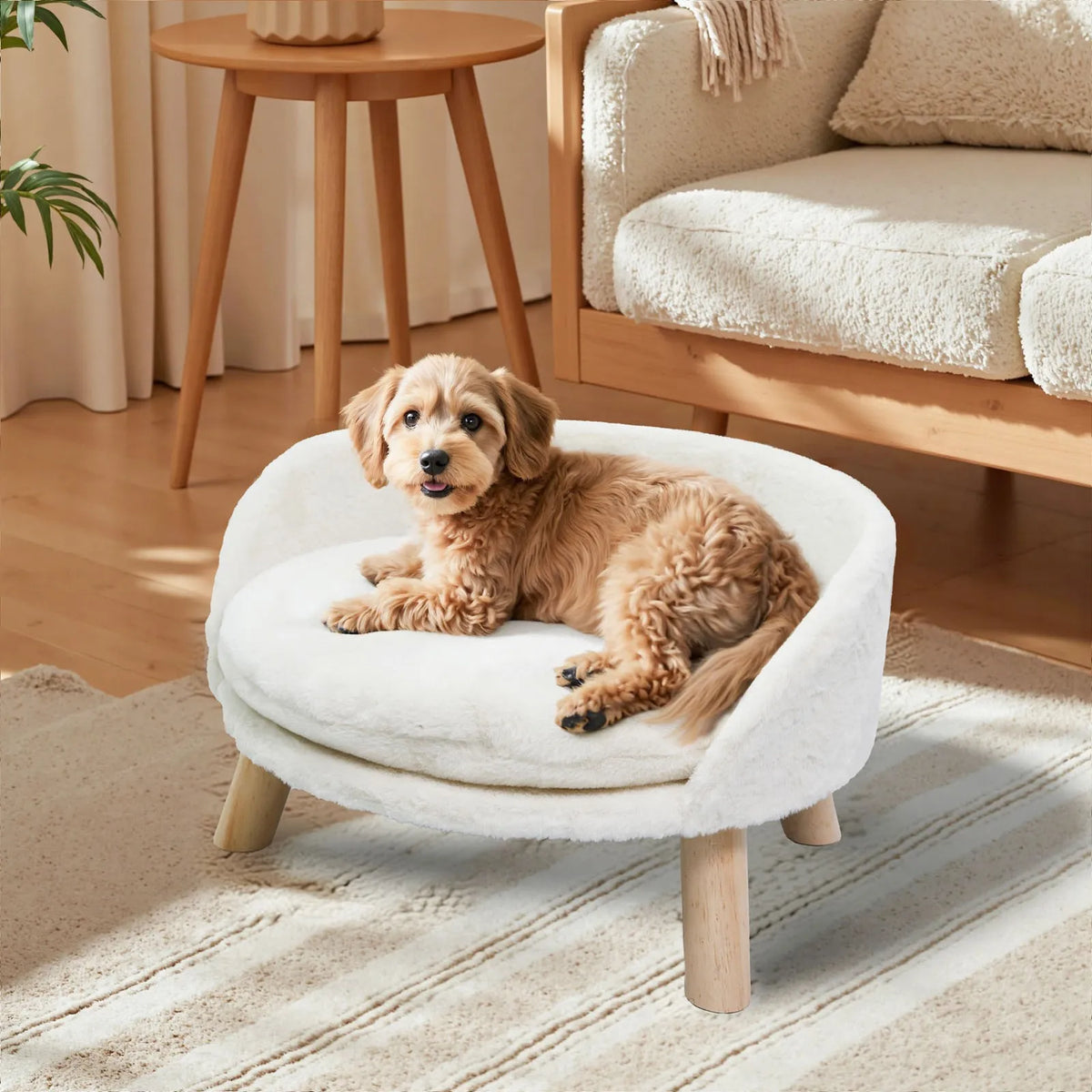 Ultra Soft Elevated Dog Cat Sofa Bed Couch Pet Puppy Chair Backrest Stool Seat Lounger with Removable Waterproof Padded Cushion