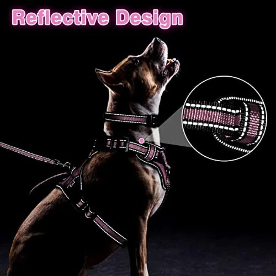 Reflective Nylon Harness Collar And Leash Set For Small Dogs