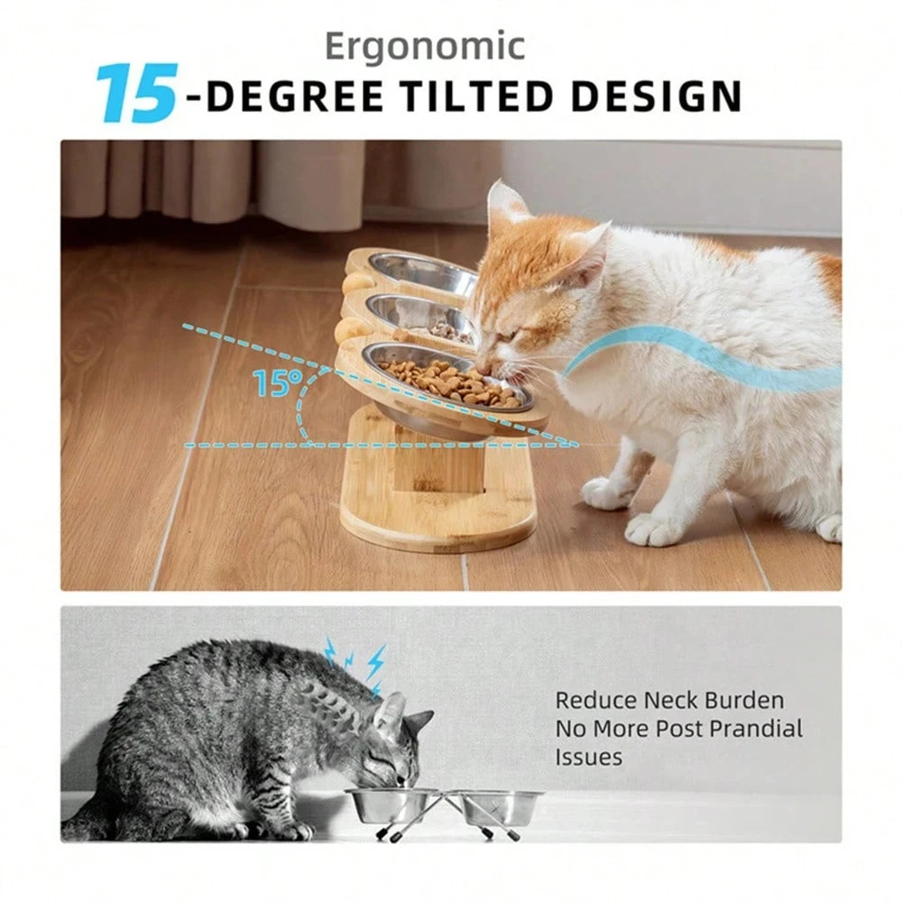 Tilted Raised Cat Feeder with Stainless Steel Bowls and Mat