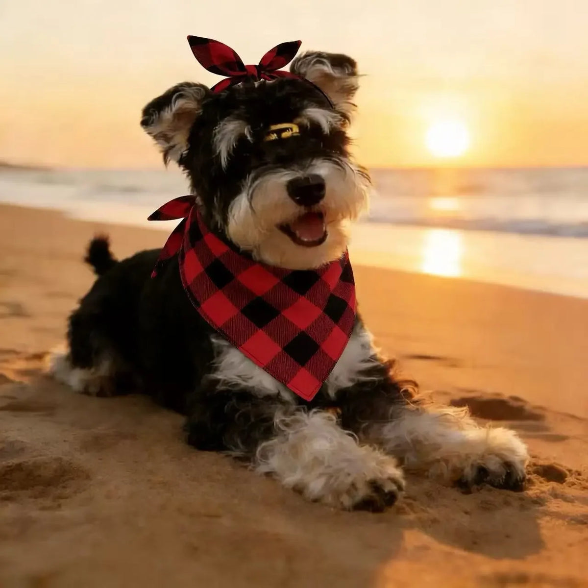 Soft Washable Plaid Pet Scarf Set for Dogs and Cats