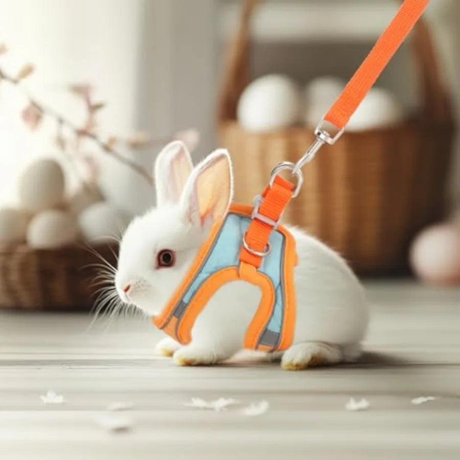 Adjustable Rabbit Harness And Leash Set With Soft Reflective Strips