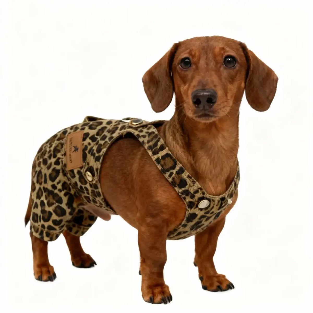 Breathable Pet Overalls for Dogs and Cats Comfortable Everyday Wear