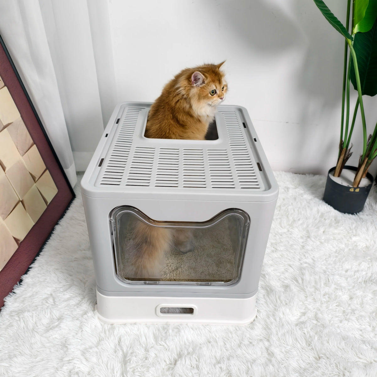 Enclosed Cat Litter Box With Front Entry And Top Exit
