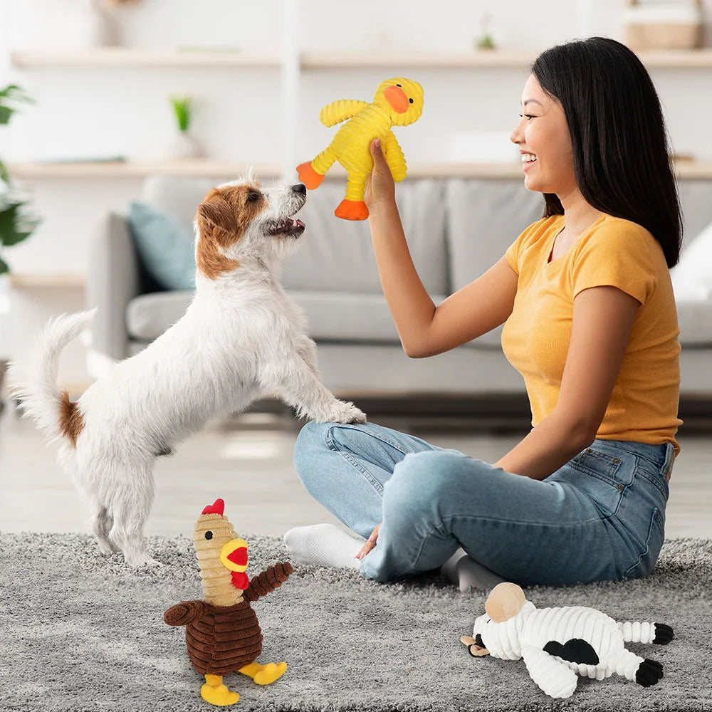 Assorted Plush Dog Toys Squeaky Pack For Dogs And Puppies