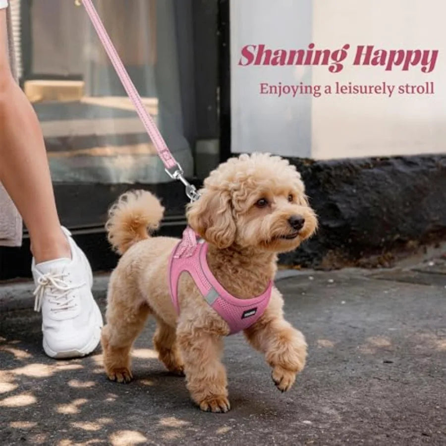 Dog Harness and Leash Set Reflective No Pull Adjustable