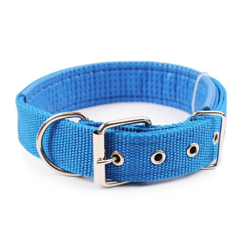 Durable Nylon Dog Collar With Breakaway Safety Feature