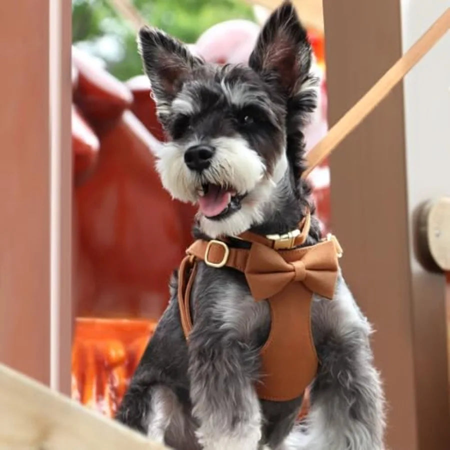 Dog Harness Leash Set Nylon Adjustable Vest For Walking