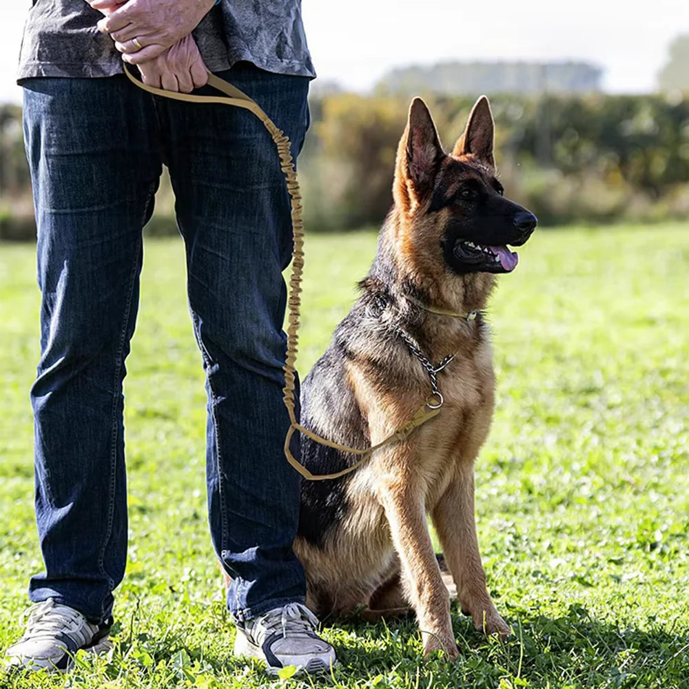 PETRAVEL Adjustable Elastic Dog Leash With Quick Release Dual Handles