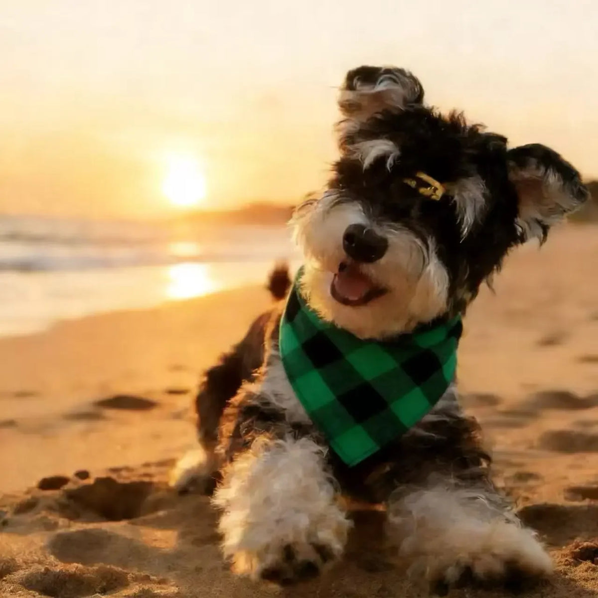 Soft Washable Plaid Pet Scarf Set for Dogs and Cats